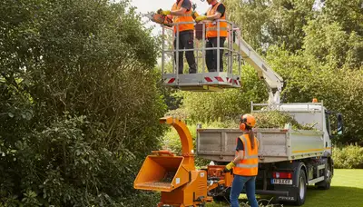 Shrub removal service in Richmond, VA by Arbor Tree Care for overgrown yard cleanup