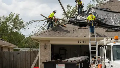 Richmond, VA tree service crew removing storm-damaged tree debris after severe weather