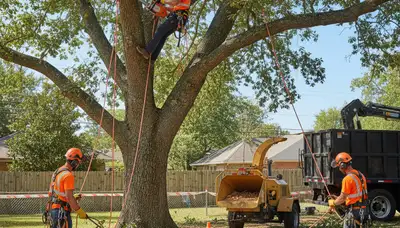 Richmond, VA tree service crew removing a hazardous tree for safe property clearing