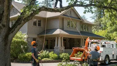 Tree service crew providing expert tree trimming in Richmond, VA
