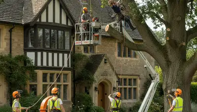 Tree service crew trimming trees in Richmond, VA for safe, professional residential care