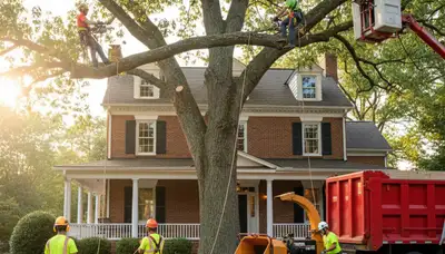 Tree service crew in Richmond, VA providing professional tree trimming and maintenance